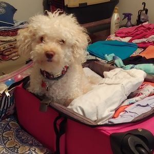 Meet your Posher, Lydia